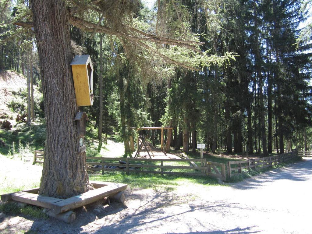 Haus Susi Imsterberg
